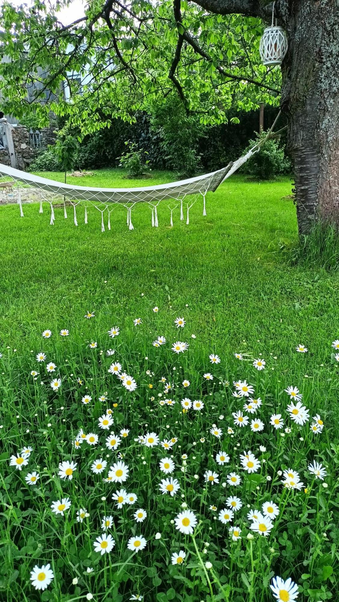 Penzion Villa Marion Mariánské Lázně Dış mekan fotoğraf