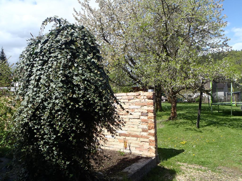 Penzion Villa Marion Mariánské Lázně Dış mekan fotoğraf