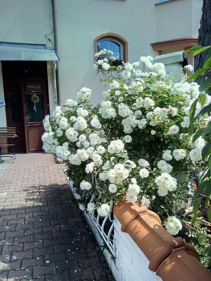 Penzion Villa Marion Mariánské Lázně Dış mekan fotoğraf